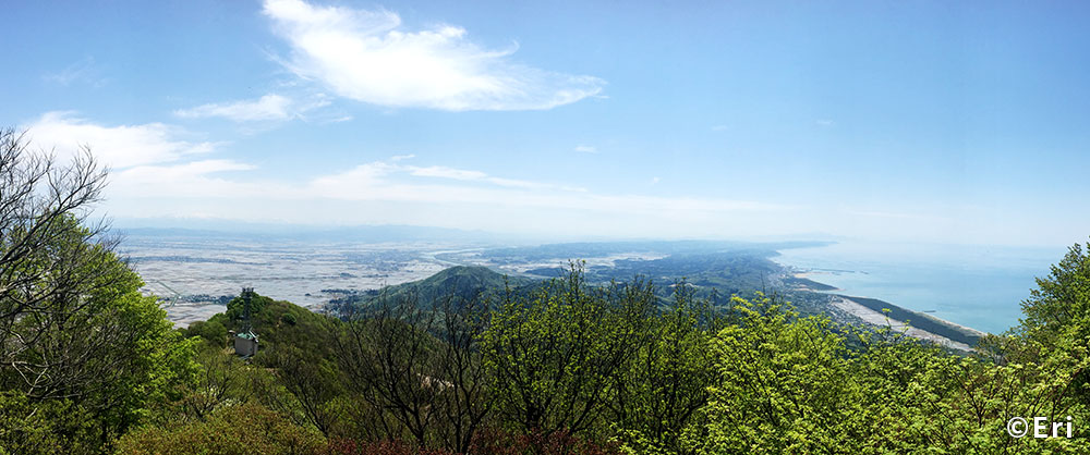 弥彦山 山頂より
