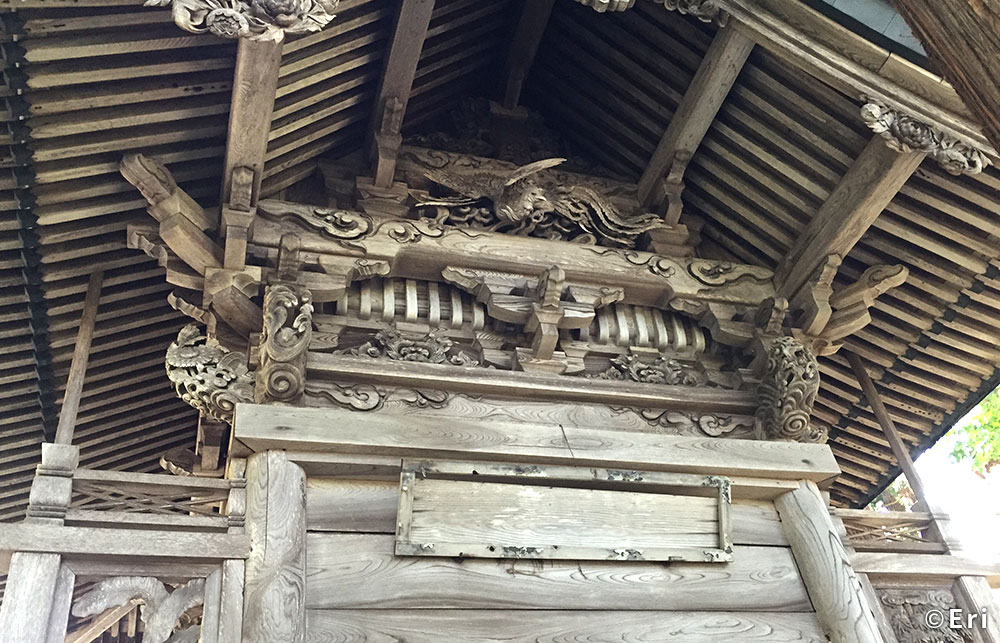 三羽のうさぎ探し