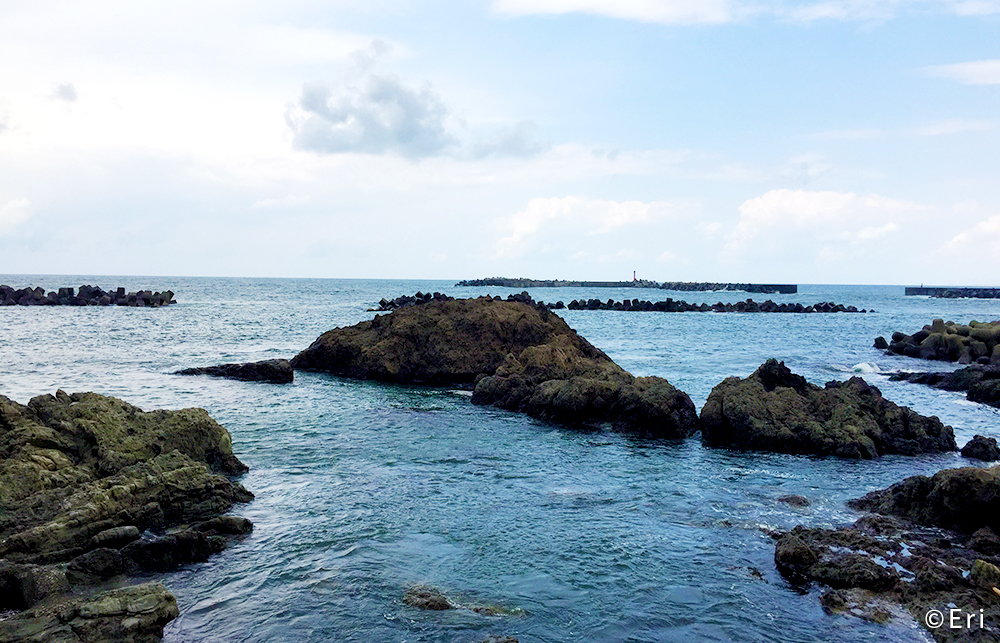水族館近くの海岸