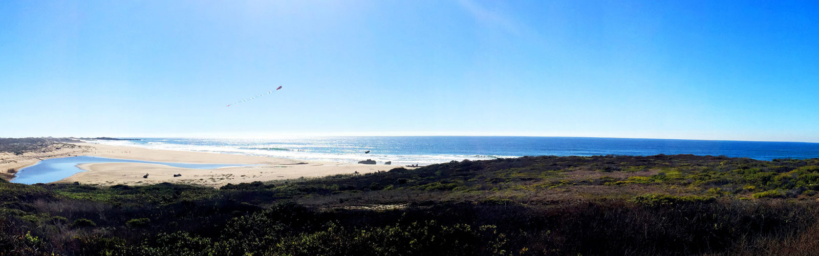アメリカ 西海岸にて
