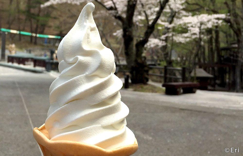龍泉洞で食べれるアイス