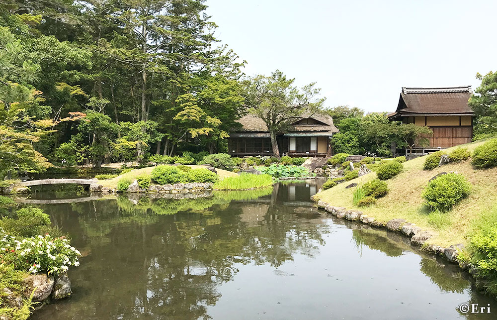 庭園 後園 別アングル